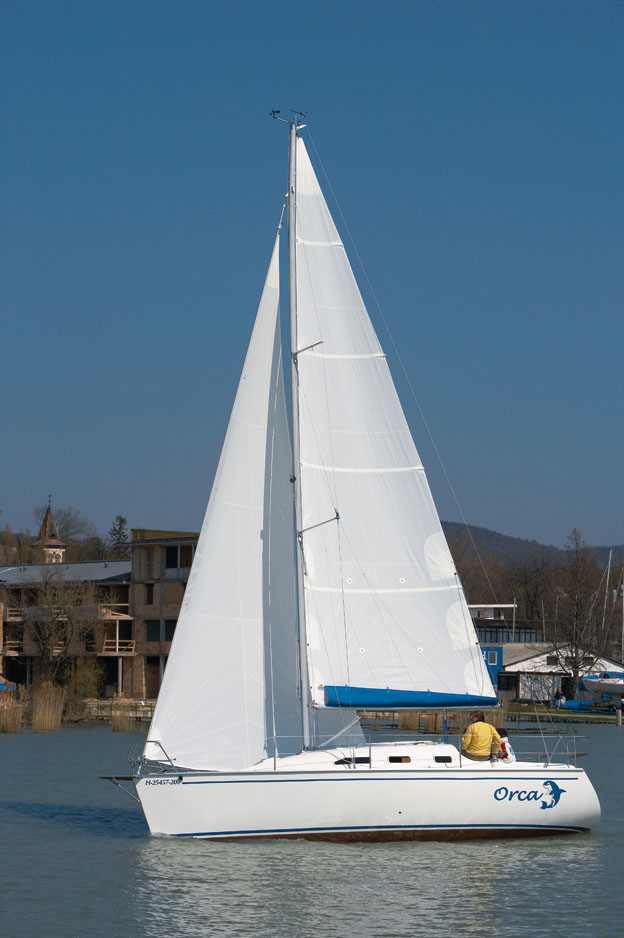 Dolphi_28_3