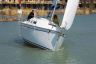 Dolphin 28