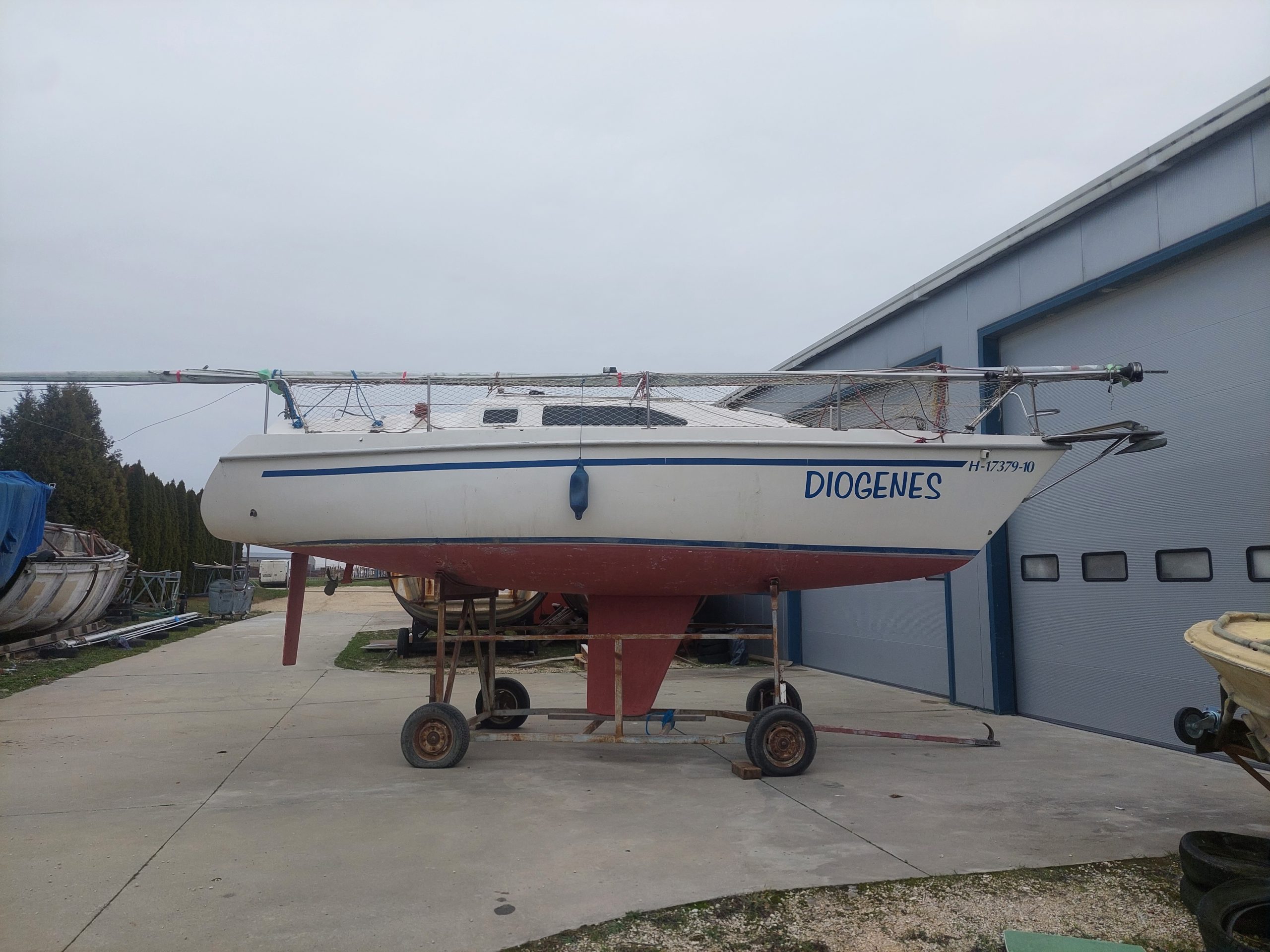 DIOGENES – Dolphin 26