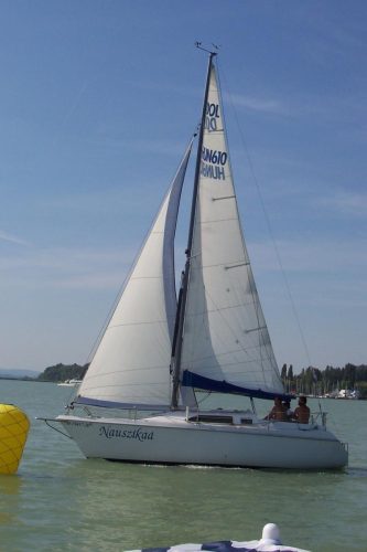 Dolphin 26