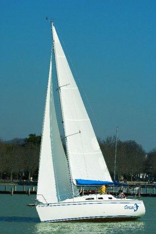Dolphin 28 SC