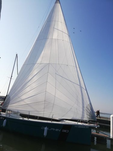 Dolphin 30